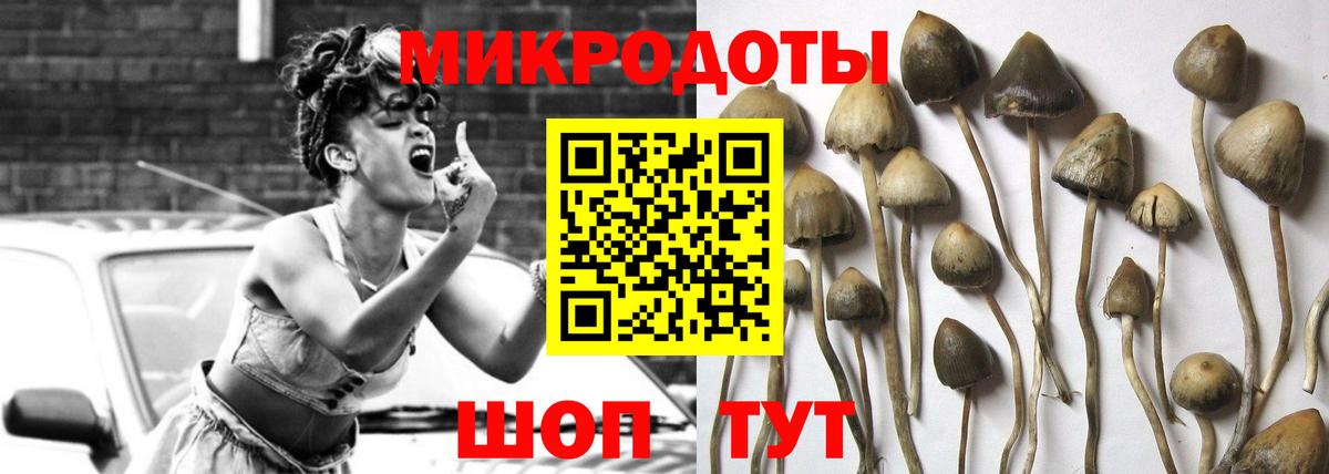 Псилоцибиновые грибы прущие грибы  Галлюциногенные грибы Psilocybine cubensis  Вход с VPN  Кинель 